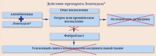 Лонгидаза лиофилизат - официальная инструкция по применению