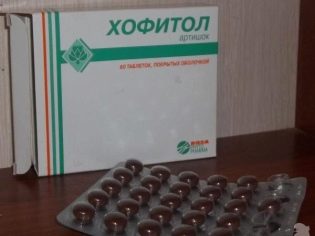 Хофитол раствор