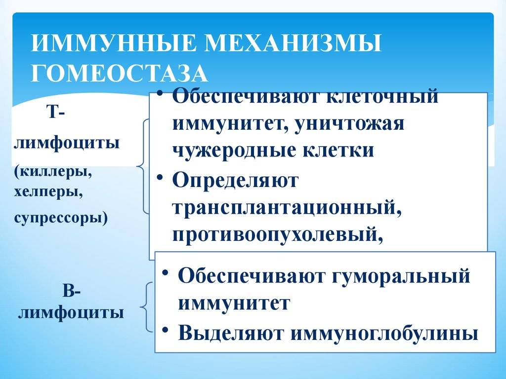 Гомеостаз