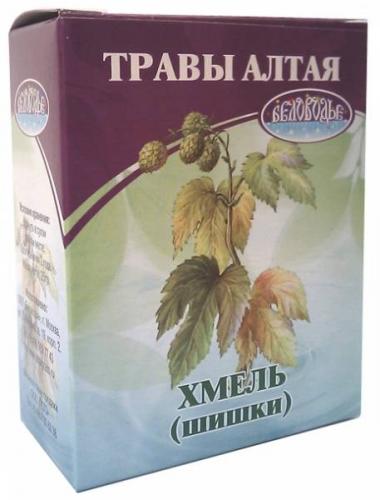 Лечебные свойства шишек хмеля