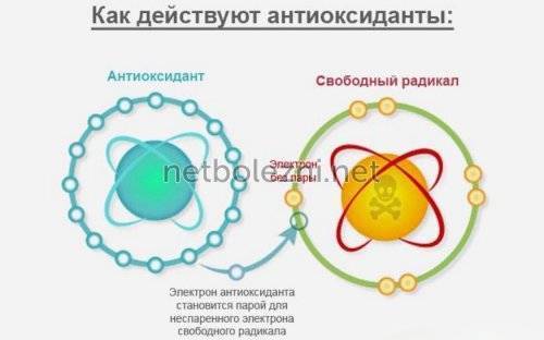 Лонгидаза лиофилизат - официальная инструкция по применению