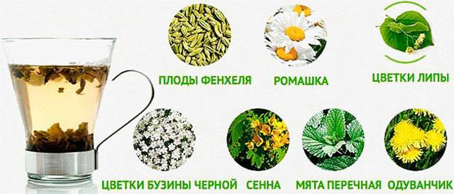 Какие травы можно и нельзя пить при беременности?
