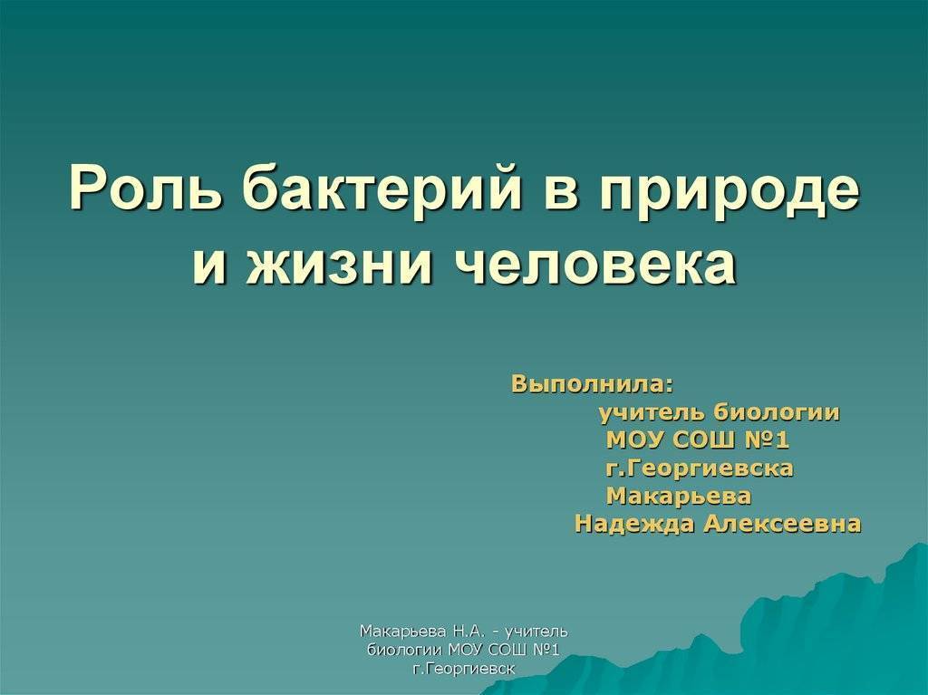 Роль бактерий в природе и жизни человека доклад, сообщение 5, 7 класс