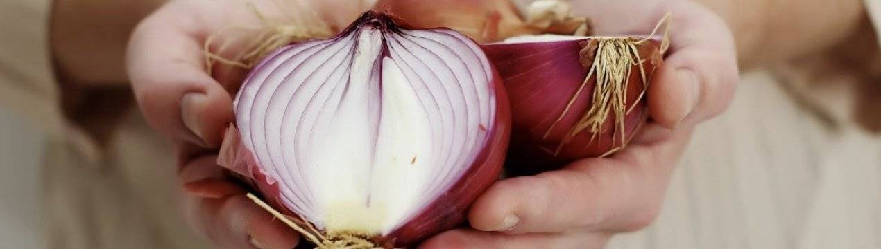 Как луком лечить насморк?