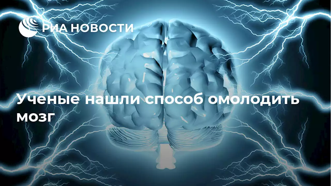 12 заблуждений о седине
