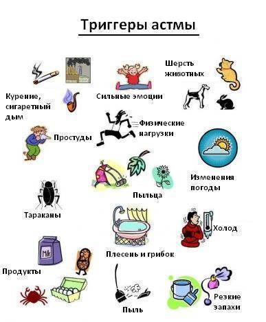 Причины и механизм развития приступа астмы, симптомы, первая помощь, лечение
