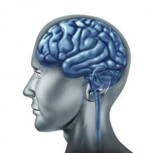 Leukodystrophy - leukodystrophy - qwe.wiki