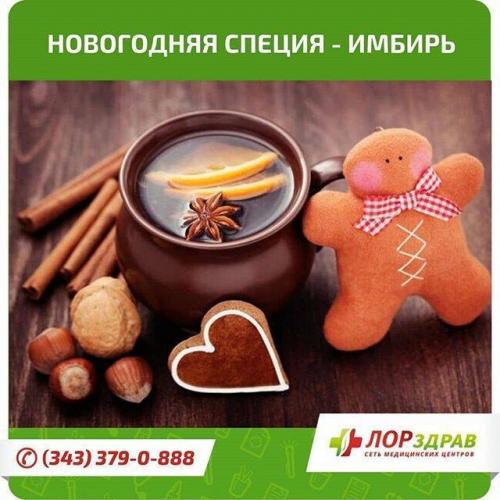 Какие отхаркивающие лекарственные травы при бронхите у взрослых помогают лучше всего в лечении