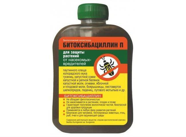 Битоксибациллин — инструкция по применению против гусениц, личинок насекомых и клещей