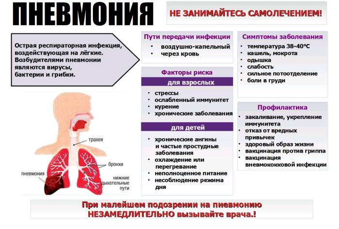 Стафилококковая пневмония: причины заболевания, основные симптомы, лечение и профилактика