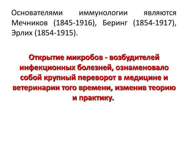 Царство бактерии — общая характеристика
