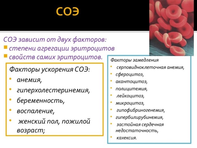 Норма соэ у женщин по возрастам и причины повышения
