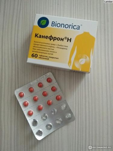 Канефрон н