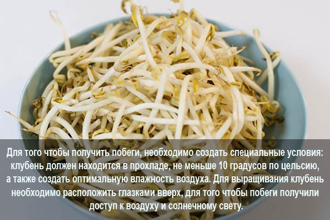 Причины, симптомы и лечение кисты правой и левой почки