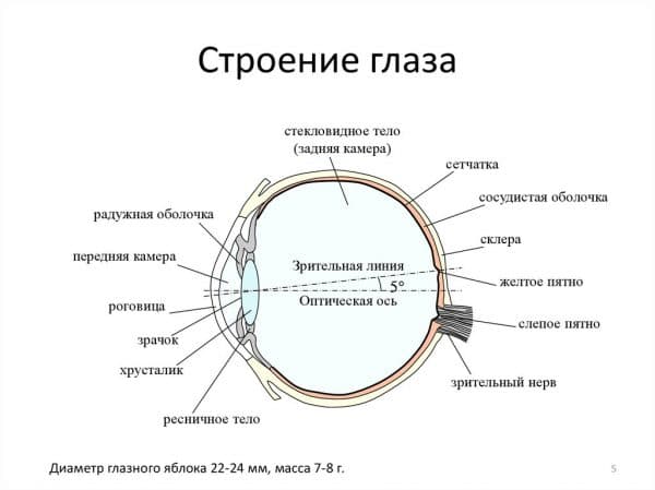 Визаллергол (глазные капли): инструкция по применению, цена, аналоги, отзывы