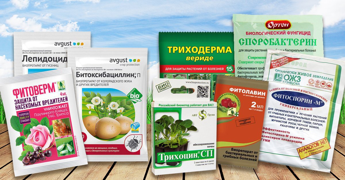 Битоксибациллин: инструкция по применению