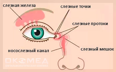 Слезный канал – его закупорка и воспаление: как лечить дакриоцистит у взрослых