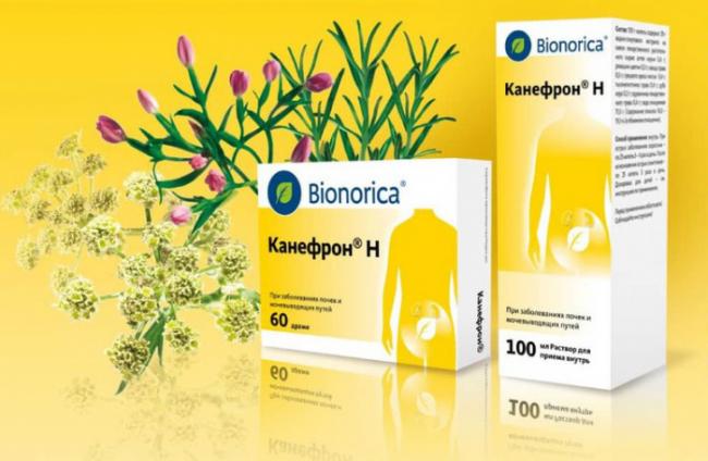 Канефрон н: инструкция, состав, показания, действие, отзывы и цены