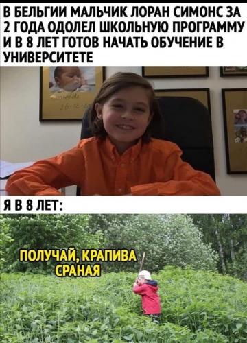 Крапива: свойства и противопоказания, выращивание и применение