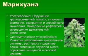 Курение марихуаны: зависимость, ломка, вред
