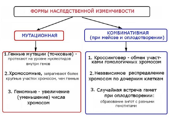 Конспекты к гос экзаменам для студентов биологов