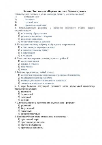 Нервная система человека. функции и строение центральной нервной системы