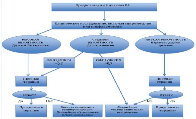 Пикфлоуметрия: показатели нормы у детей и взрослых, правила, цели и алгоритм проведения
