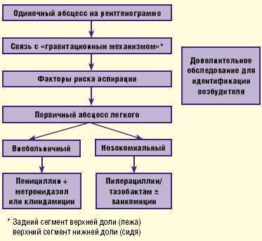 Абсцесс легкого: лечение, симптомы, причины — онлайн-диагностика