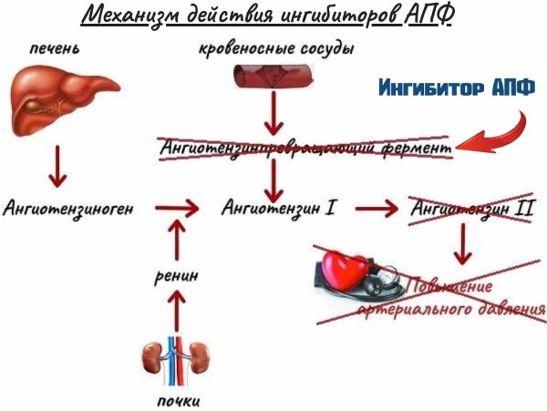 Лизиноприл (lisinopril) инструкция по применению