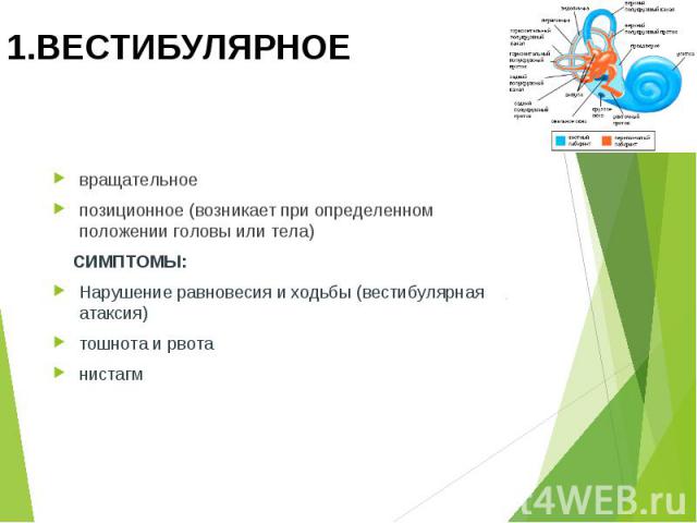 Сенситивная атаксия при рассеянном склерозе