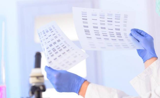 Струйный тест на беременность правила использования разных видов и принцип действия