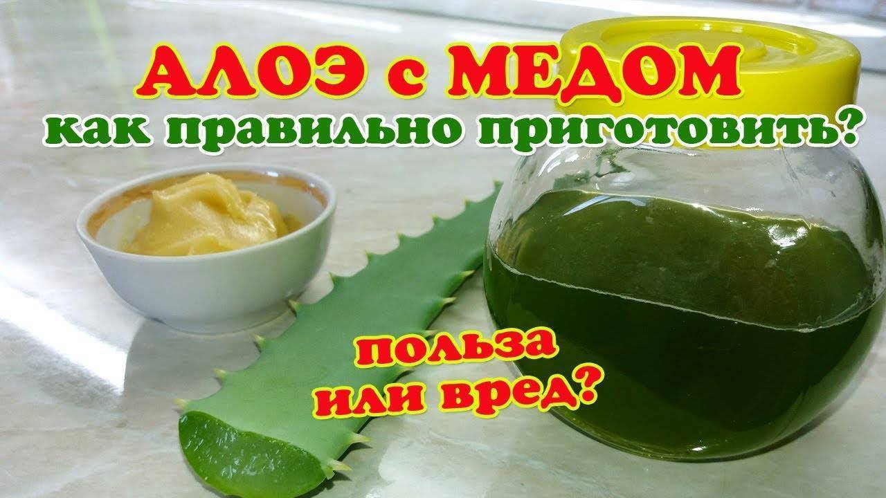 Настойка на алоэ (столетник)