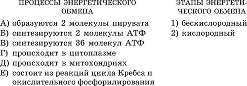 Ферменты