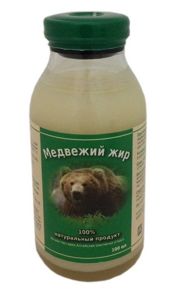 Как применять медвежий жир при кашле и простуде?