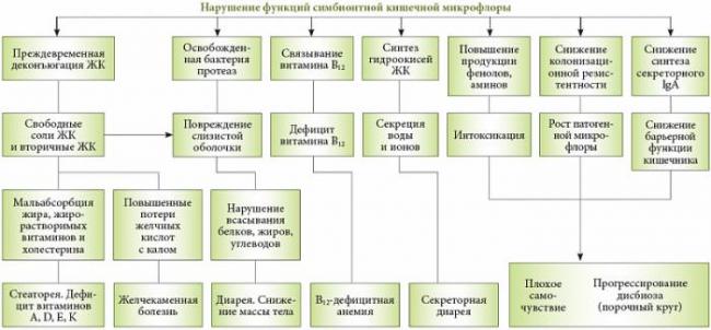 Диспепсия кишечника симптомы