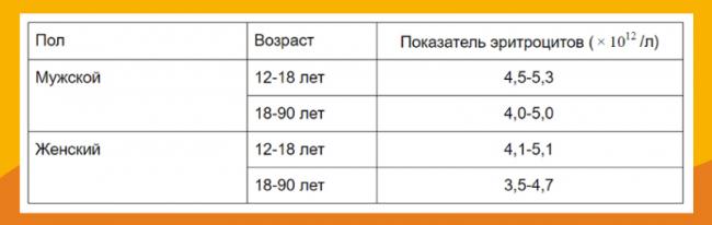 Бактерии в моче при беременности: причины отклонений и расшифровка, что показывает анализ на бакпосев