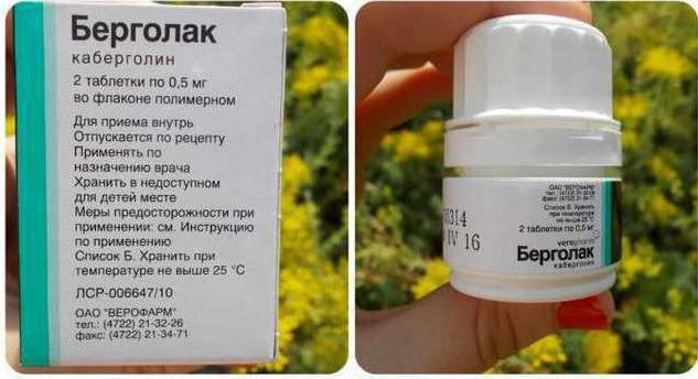 Берголак