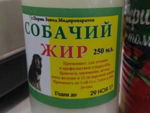 Собачий жир: применение, польза и вред