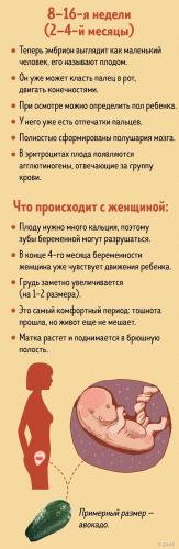 9 месяц беременности с какой недели начинается