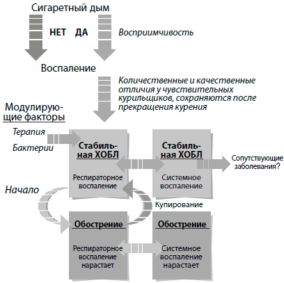 Хобл 3 степени