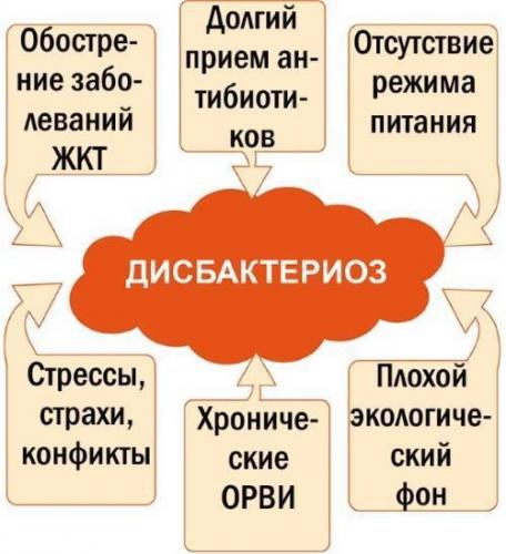 Расшифровка анализов микрофлоры
