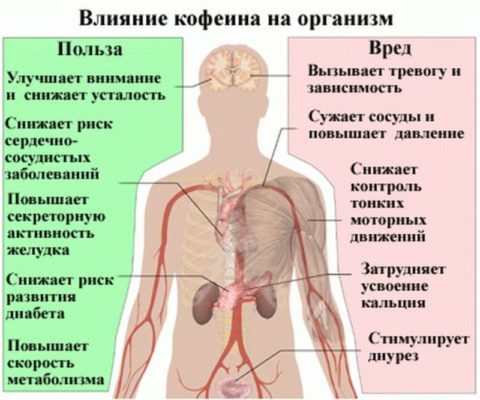 Исследовательский проект "выявление влияния воздействия кофе на организм подростка"