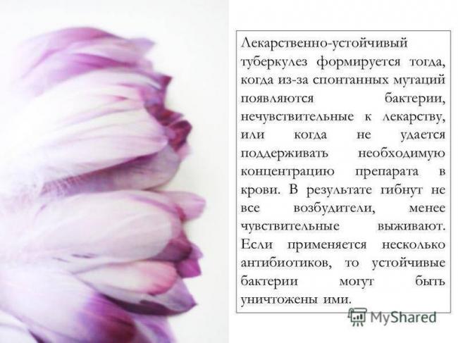 Туберкулез органов дыхания с широкой лекарственной устойчивостью у взрослых