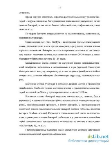 Болезнетворные бактерии — паразиты человека. где живут? какие вызывают болезни?