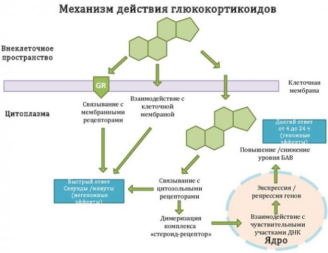 Аналоги мази комфодерм