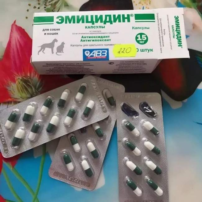 Свойства и особенности приема препарата Эмицидин для лечения собак