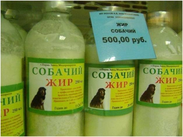 Собачий жир лечебные свойства детям