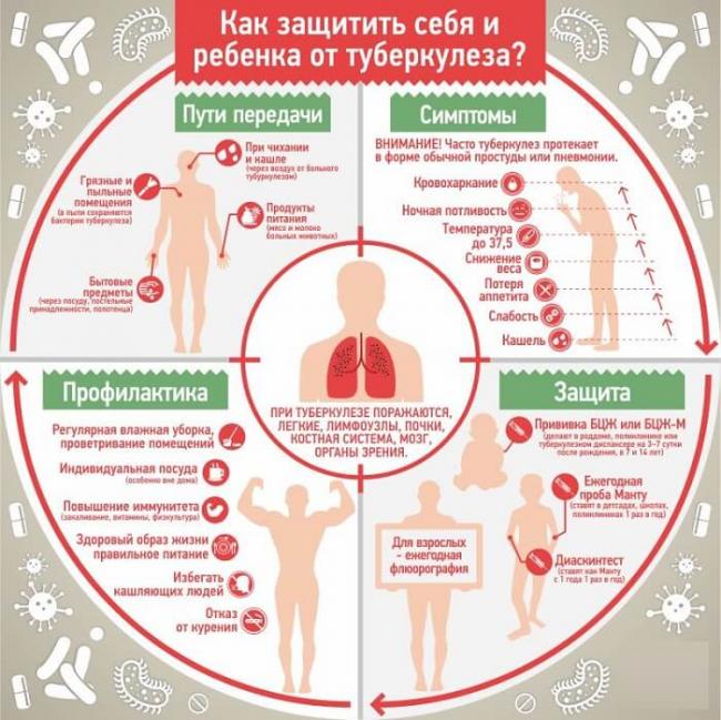 Отрицательная манту