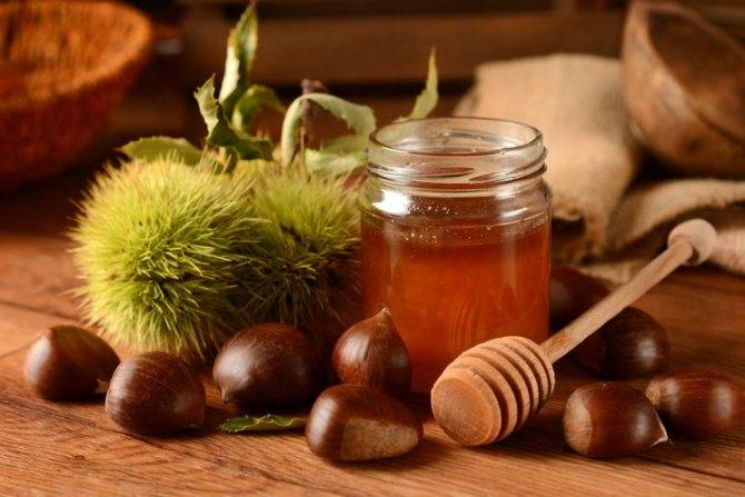 Рецепты редьки с мёдом — бальзама от кашля