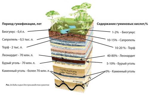 Как правильно применять гумат калия: пошаговая инструкция для огородников